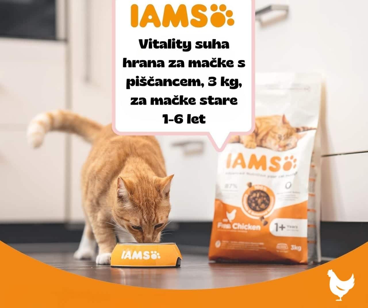 IAMS Vitality piščanec – IAMS Vitality suha hrana za mačke s piščancem, 3 kg, za mačke stare 1-6 let